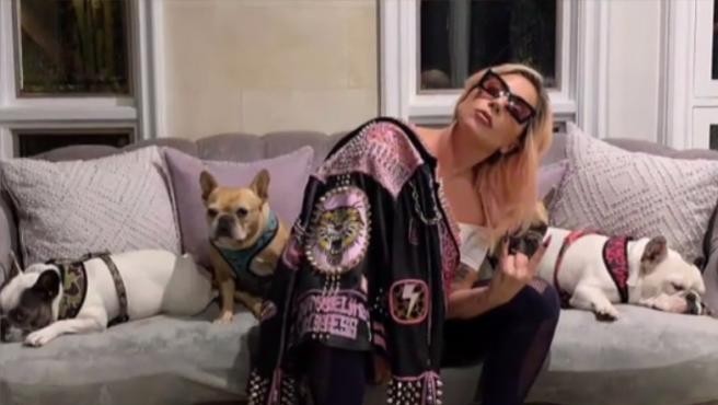 Lady Gaga recuperó a sus perros robados luego de ofrecer 500.000 dólares como recompensa | Espectaculos