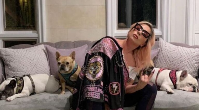 A 10 días de recuperar a sus perros, Lady Gaga no pagó la recompensa | Espectaculos