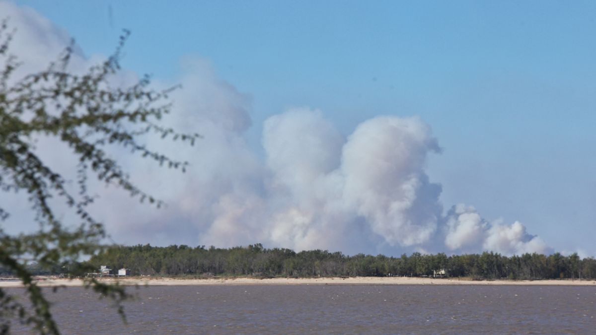El fuego volvió a las islas del Paraná y también el humo a la ciudad de Rosario | Noticias