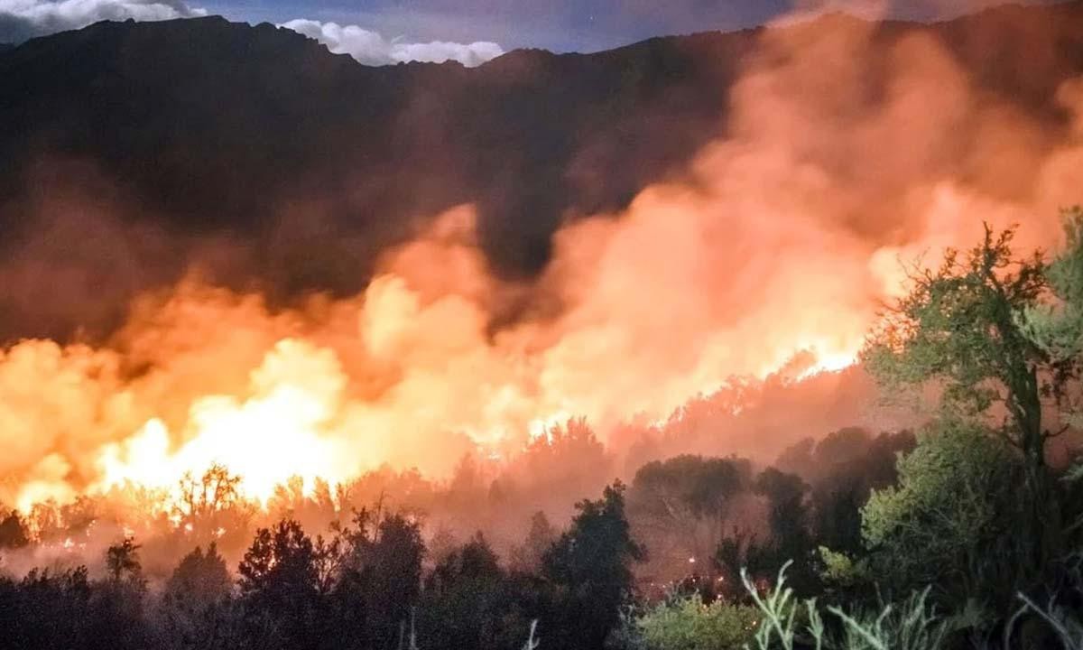 Heridos y evacuados por incendios forestales en la zona de El Bolsón | Nacionales