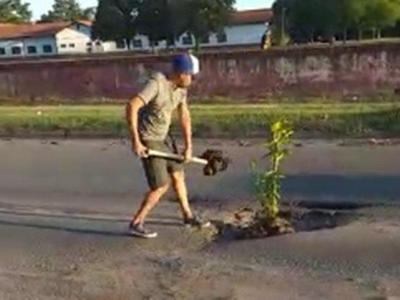 Pasó en la provincia: plantó un árbol en un pozo callejero con el que rompió su auto | Noticias