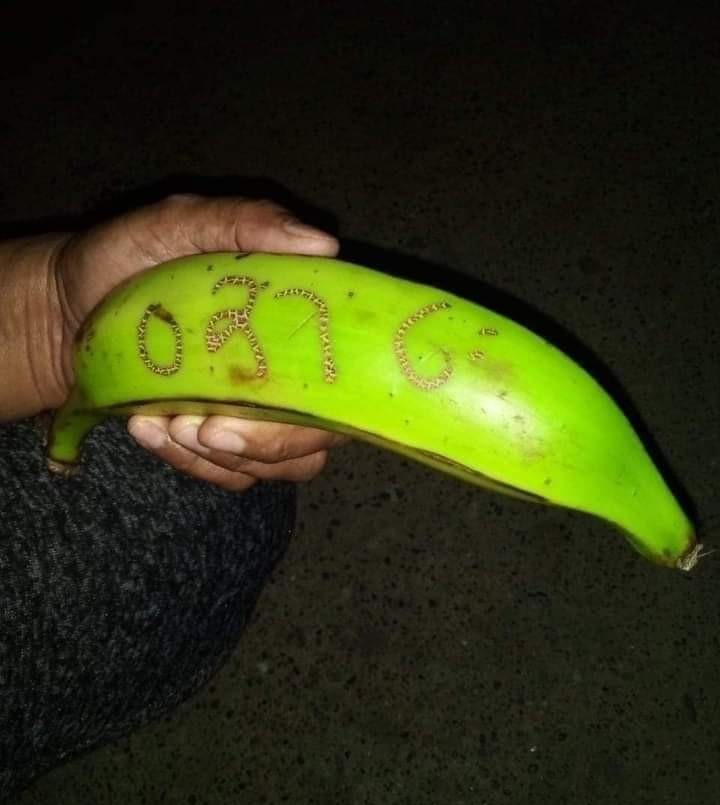 La historia de la banana viral que hizo ganar la lotería a 2.000 colombianos | Redes