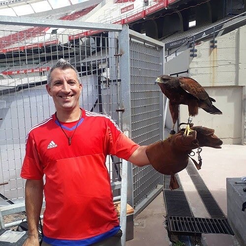 Las aves que “custodian” el campo de juego de River son adiestradas en la provincia | Deportes