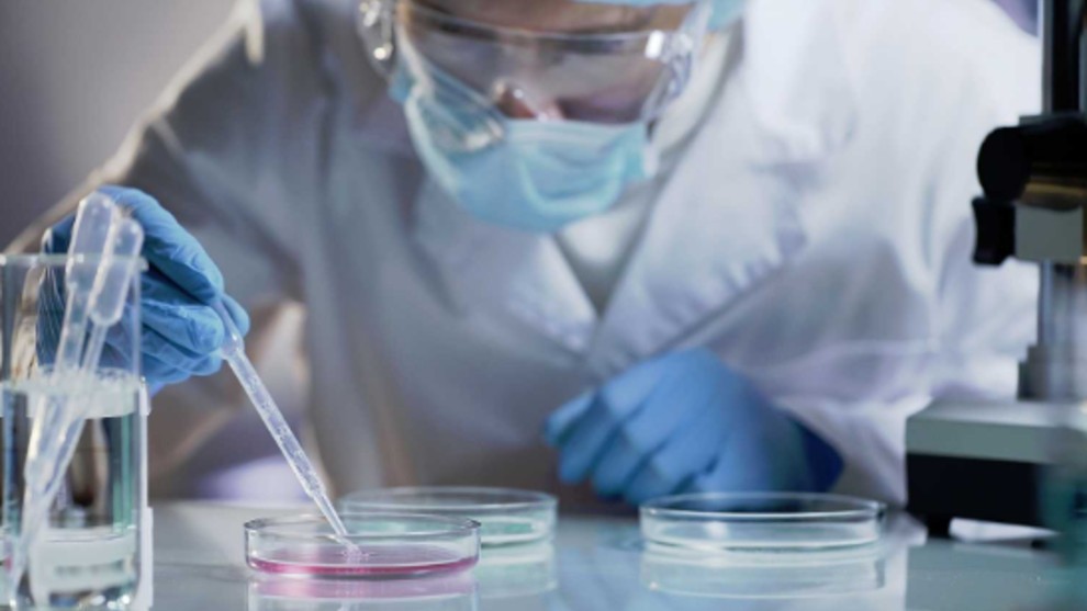 Descubren un mecanismo molecular que podría generar nuevas terapias para esclerosis múltiples | Noticias