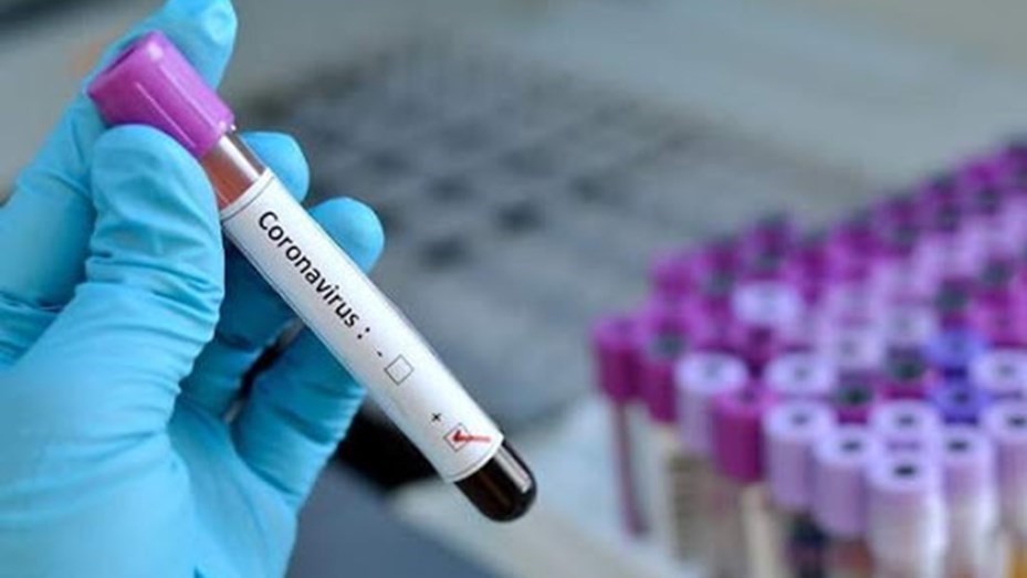 El Gobierno declarará el Covid-19 como enfermedad profesional | Nacionales