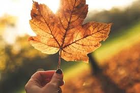 ¿Por qué el otoño empezó un día antes? | Información General