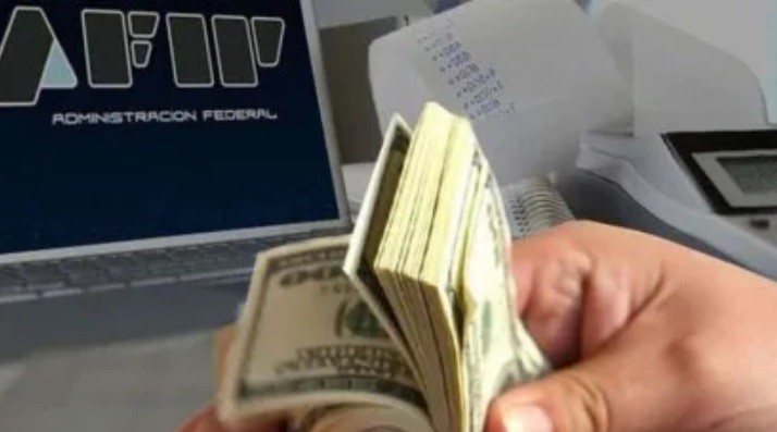 Jueza ordenó a la AFIP que no cobre el impuesto a las grandes fortunas a un empresario | Nacionales