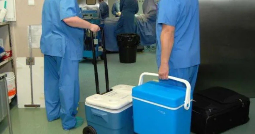 Hepatitis C ya no es impedimento para donar órganos o recibir un trasplante | Información General