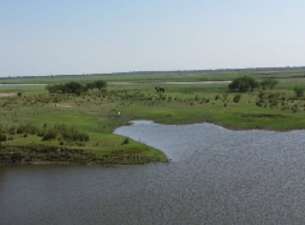 Bajos Submeridionales: Perotti participará de una reunión por el plan de obras | Noticias