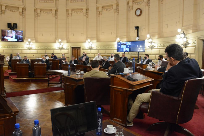 Estudian un proyecto para endurecer las penas a quienes violen las medidas sanitarias | Legislativas