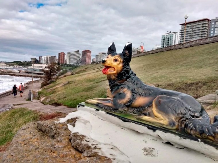 Personal municipal retiró la escultura de un perro colocada en la zona de Playa Chica | Nacionales