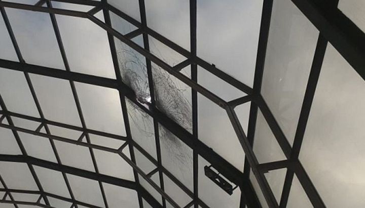 Apareció un empresario degollado en Jujuy: "Mi hermano ayudó a personas equivocadas" | Nacionales