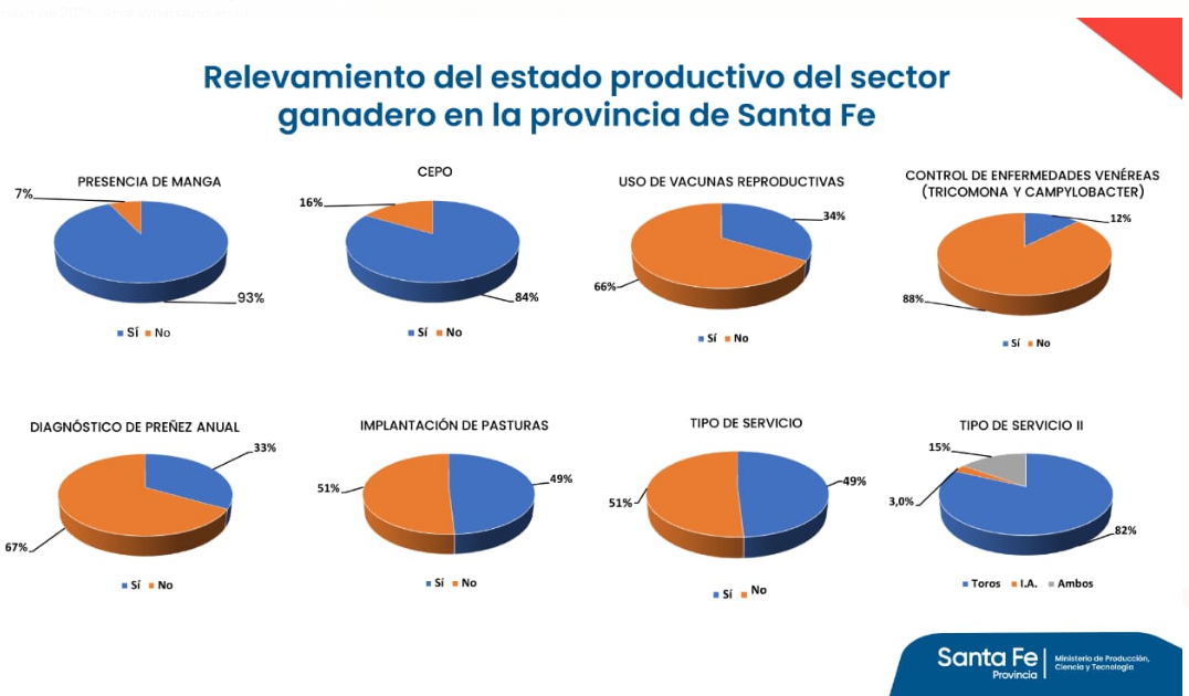 La provincia brindó datos sobre el relevamiento del estado productivo de la ganadería | Noticias