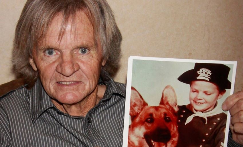 Murió en la indigencia el protagonista de "Las aventuras de Rin Tin Tin" | Espectaculos