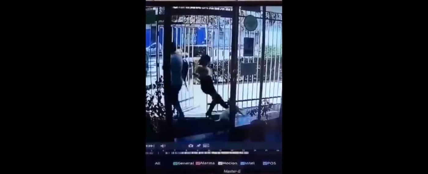 Video de terror: brutal patada de una mujer a un perro en la puerta de un edificio | Redes