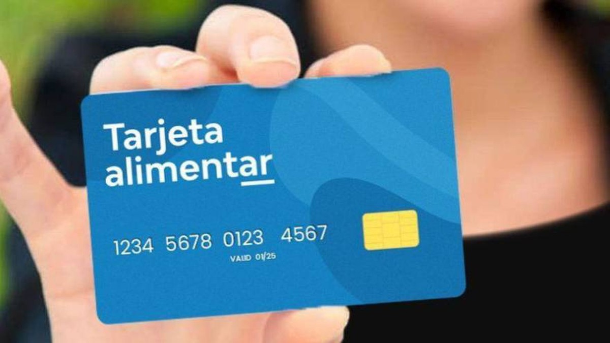 Evalúan ampliar la Tarjeta Alimentar a personas con discapacidad menores de 18 años | Nacionales