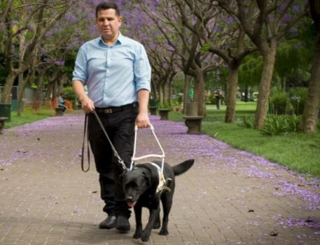 "La discapacidad tiene que estar en la agenda pública", pide director de ANDis | Legislativas