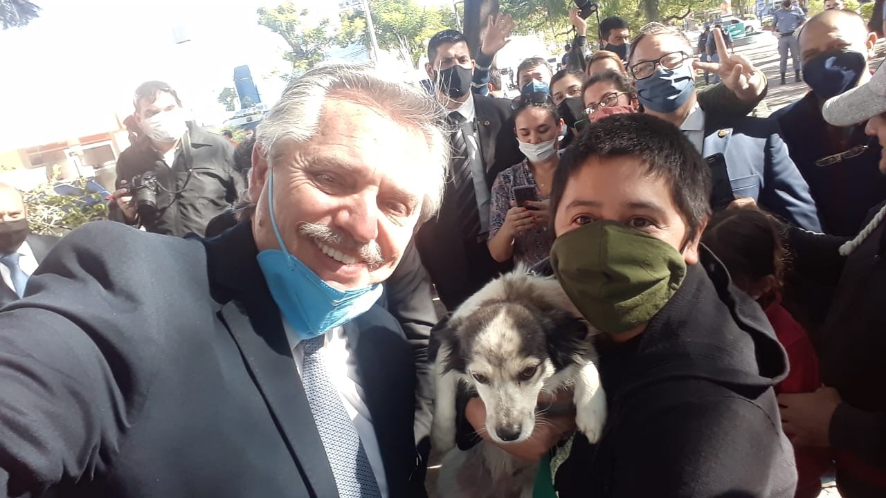 El polémico retuit de Alberto Fernández: con Putin "vacunando" un gorila | Redes