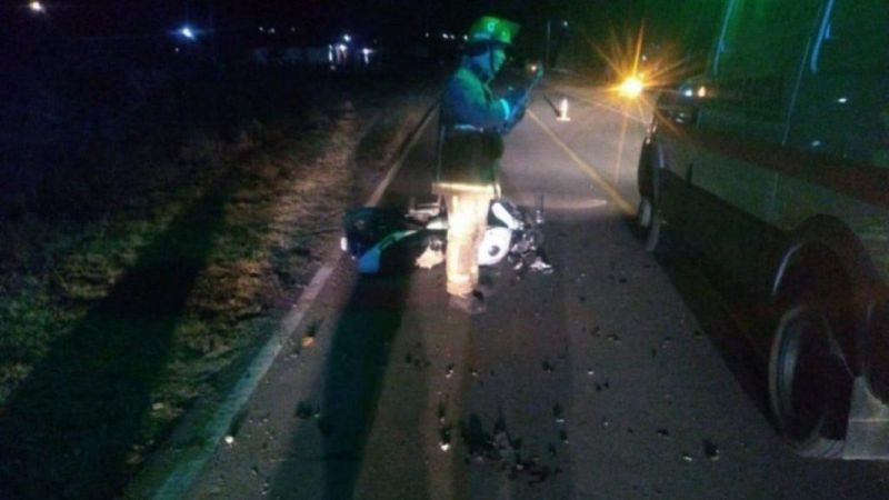 Murió un motociclista al chocar conta una vaca | Nacionales