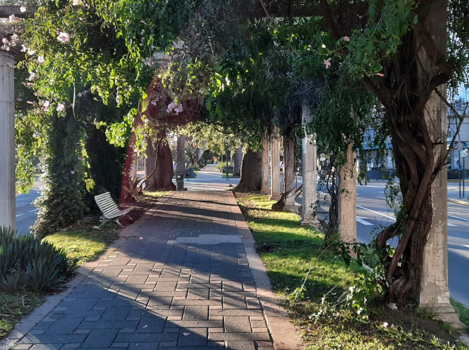 Siguen los días otoñales y soleados en la ciudad | Información General