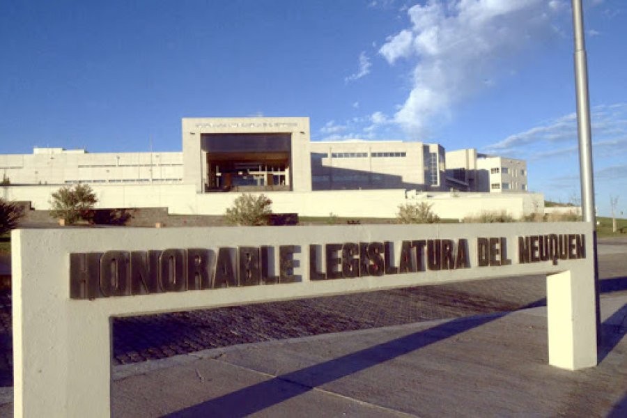 Neuquén aprobó una ley que otorga licencia laboral por violencia de género | Igualdad y Género