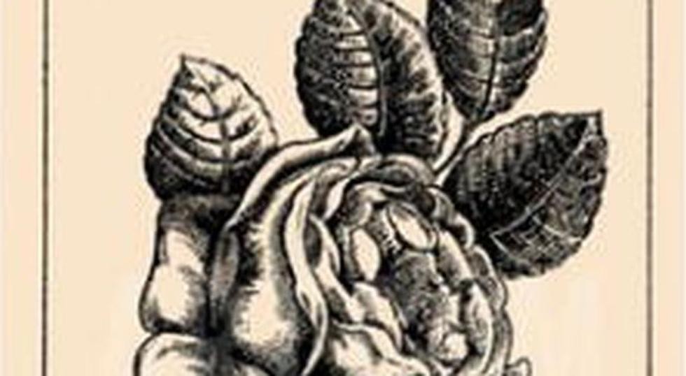 Reto viral: el rostro femenino imperceptible dentro de la imagen de una flor | Redes