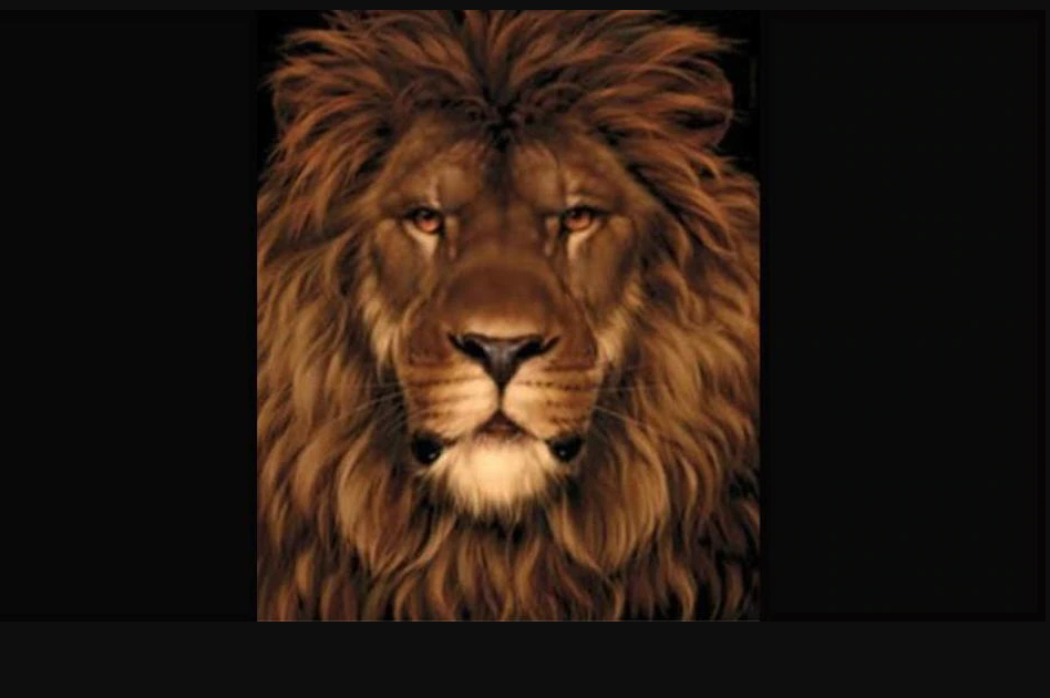 20 segundos: solo un ojo entrenado encuentra el ratón de este reto viral | Redes