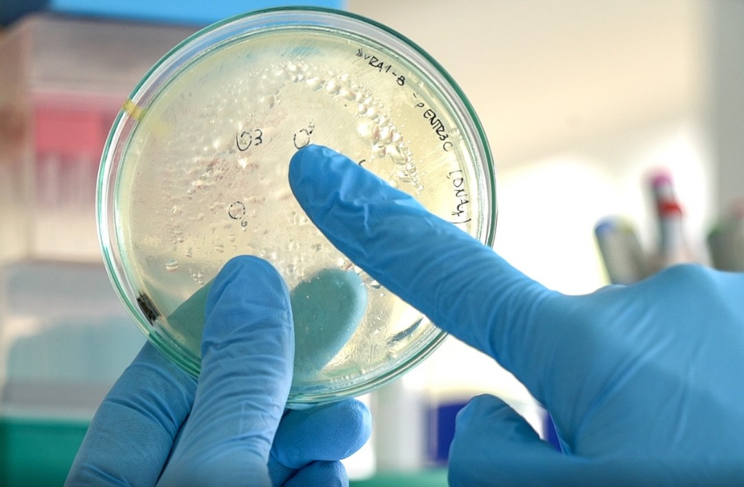 Dos nuevas empresas de alta tecnología nacen de la UNL | Noticias