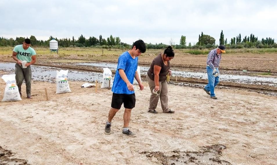 Una escuela técnica ganó un premio de $400.000 con un proyecto de forraje innovador | Nacionales