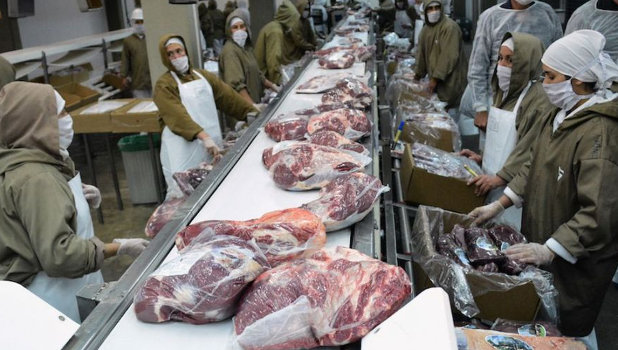 El gobierno formalizó la suspensión de las exportaciones de carne | Noticias