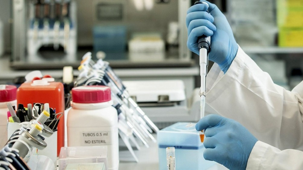 Confirman la capacidad neutralizante del suero hiperinmune contra las variantes Manaos y Británica | Nacionales