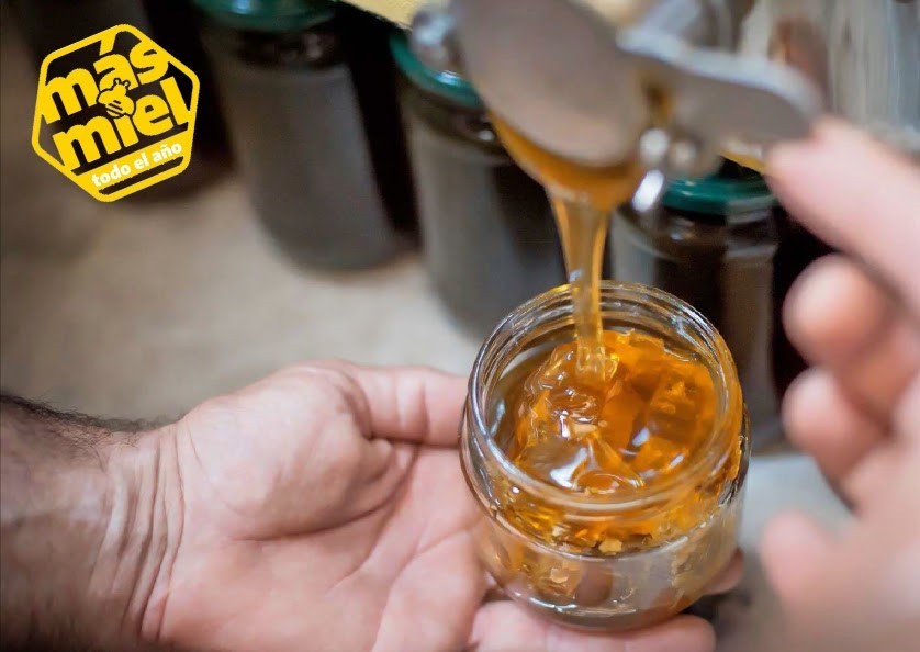 Santa Fe participó de la presentación de la Campaña Federal “Más miel todo el año” | Noticias