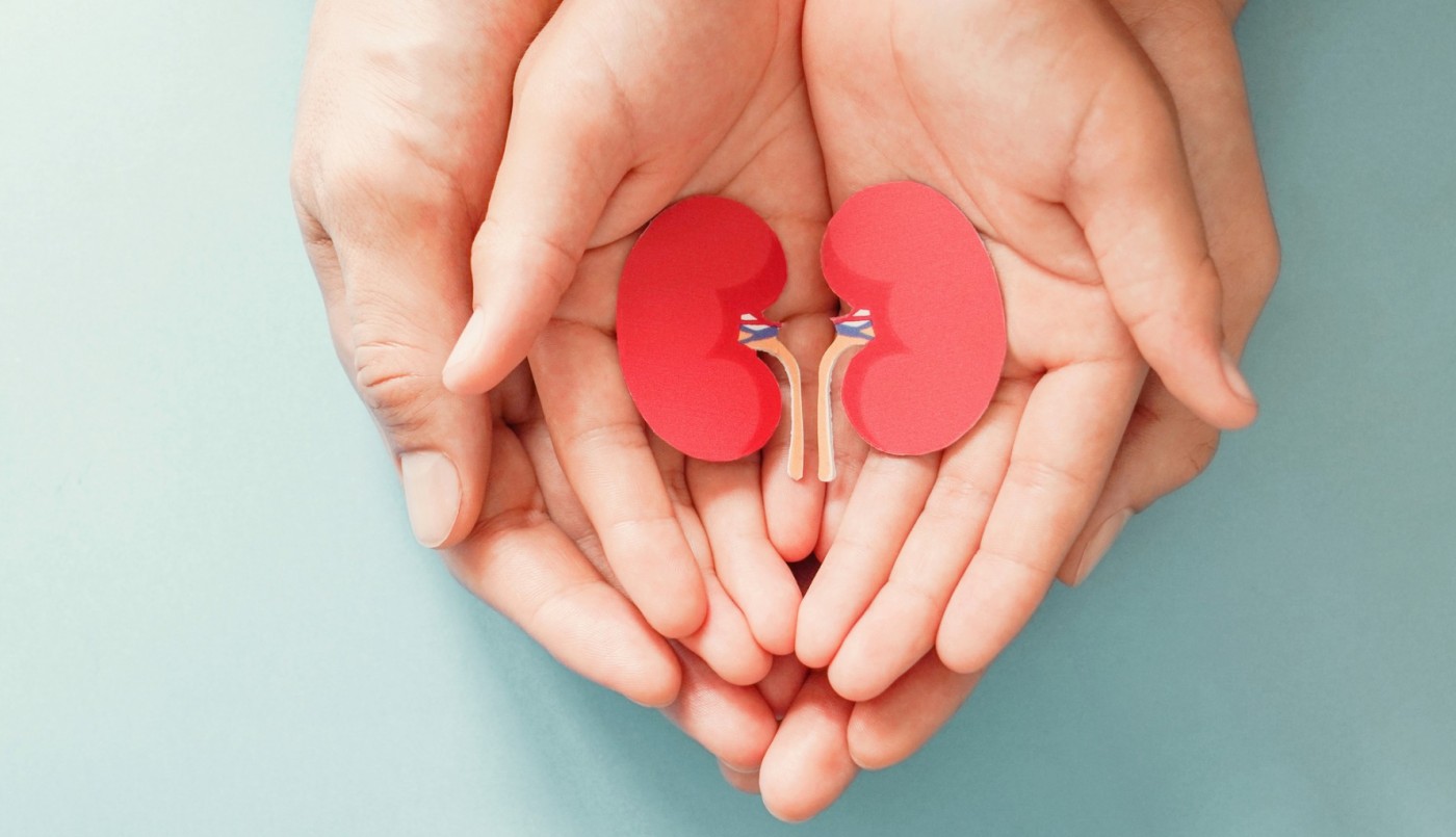 El 30 de mayo se conmemora Día Nacional de la Donación de Órganos y Tejidos | Información General