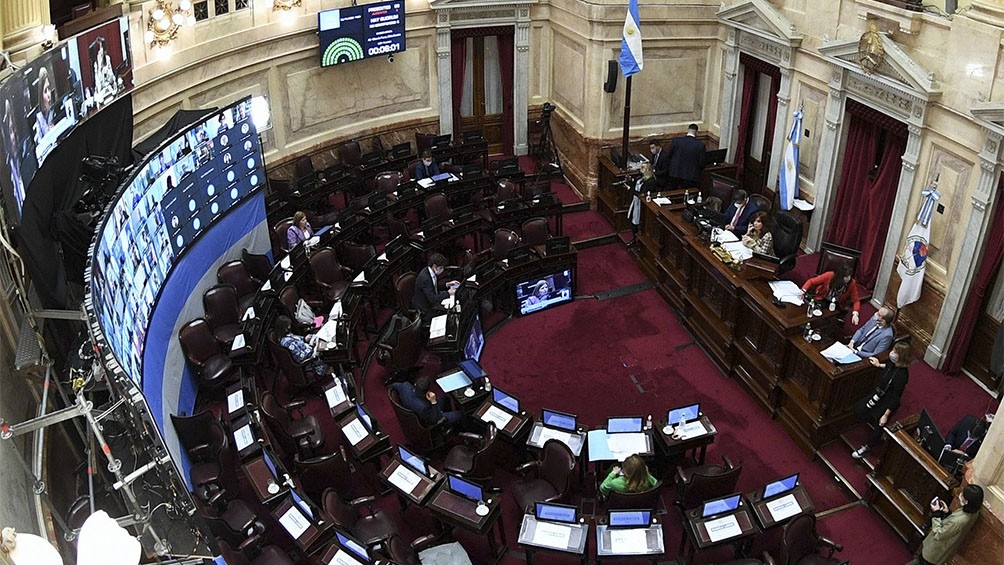 El Senado convirtió en ley el proyecto para postergar las elecciones | Legislativas