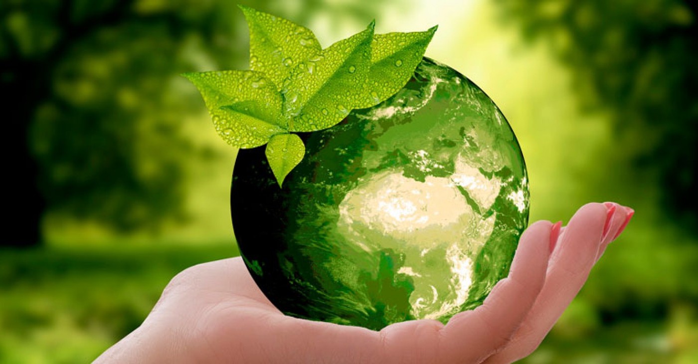 Este 5 de junio se conmemora el Día Mundial del Medio Ambiente | Información General