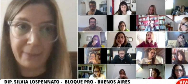 Avanza en Diputados un proyecto que incorpora la perspectiva de género a la legítima defensa | Legislativas