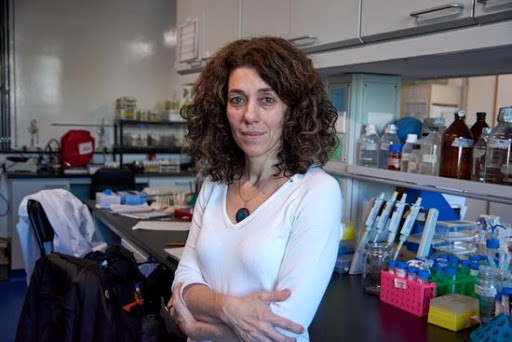 Una científica argentina fue incorporada a prestigiosa organización europea de biología molecular | Igualdad y Género