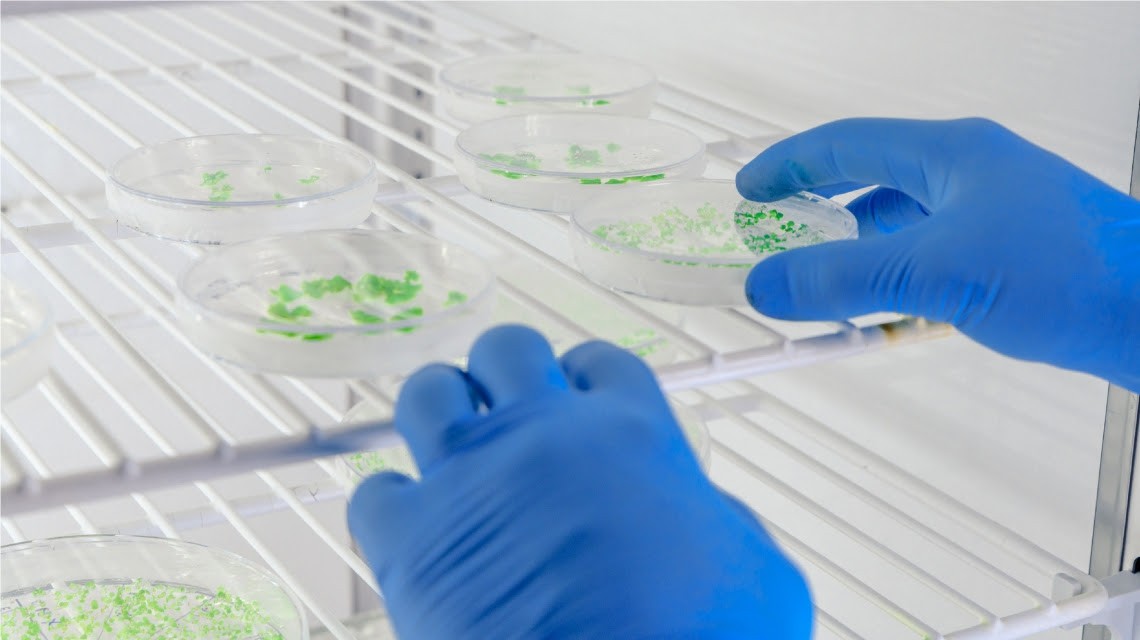 Santa Fe celebra el Día de la Biotecnología con iniciativas para los jóvenes | Información General