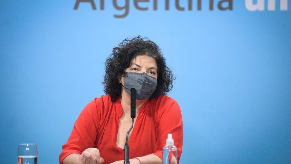 Carla Vizzotti anunció que todas las embarazadas tendrán prioridad para ser vacunadas contra el coronavirus | Nacionales