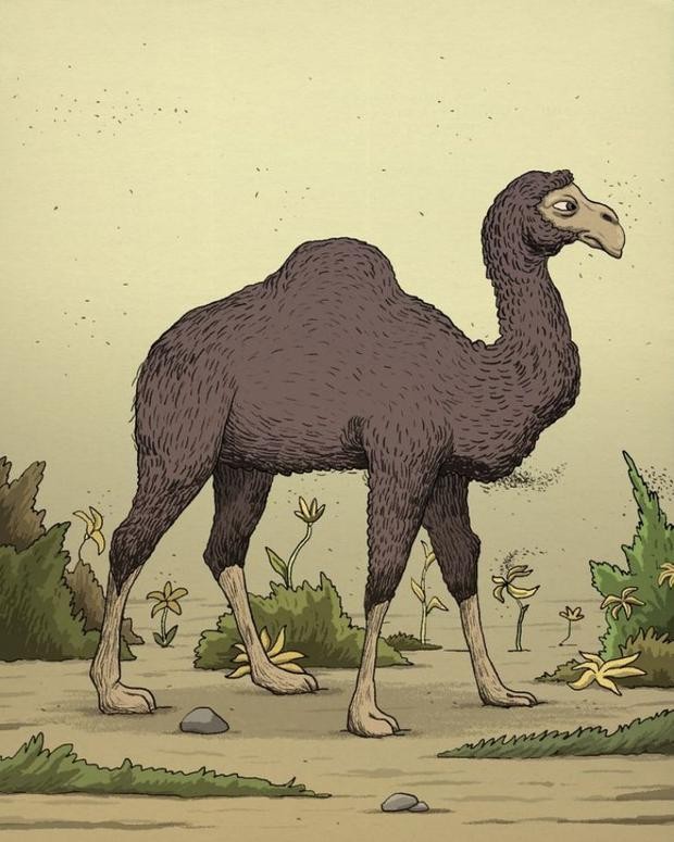 Reto Viral: ubica ya mismo al jinete del camello en solo 10 segundos | Redes