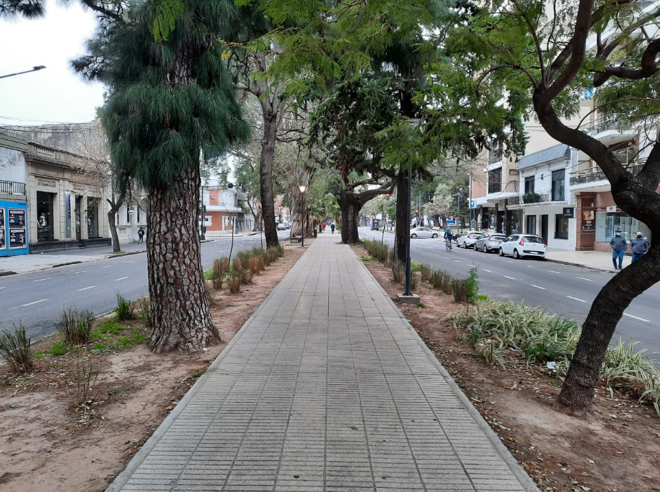La semana hábil comienza con mucha humedad y leve ascenso de la temperatura | Información General