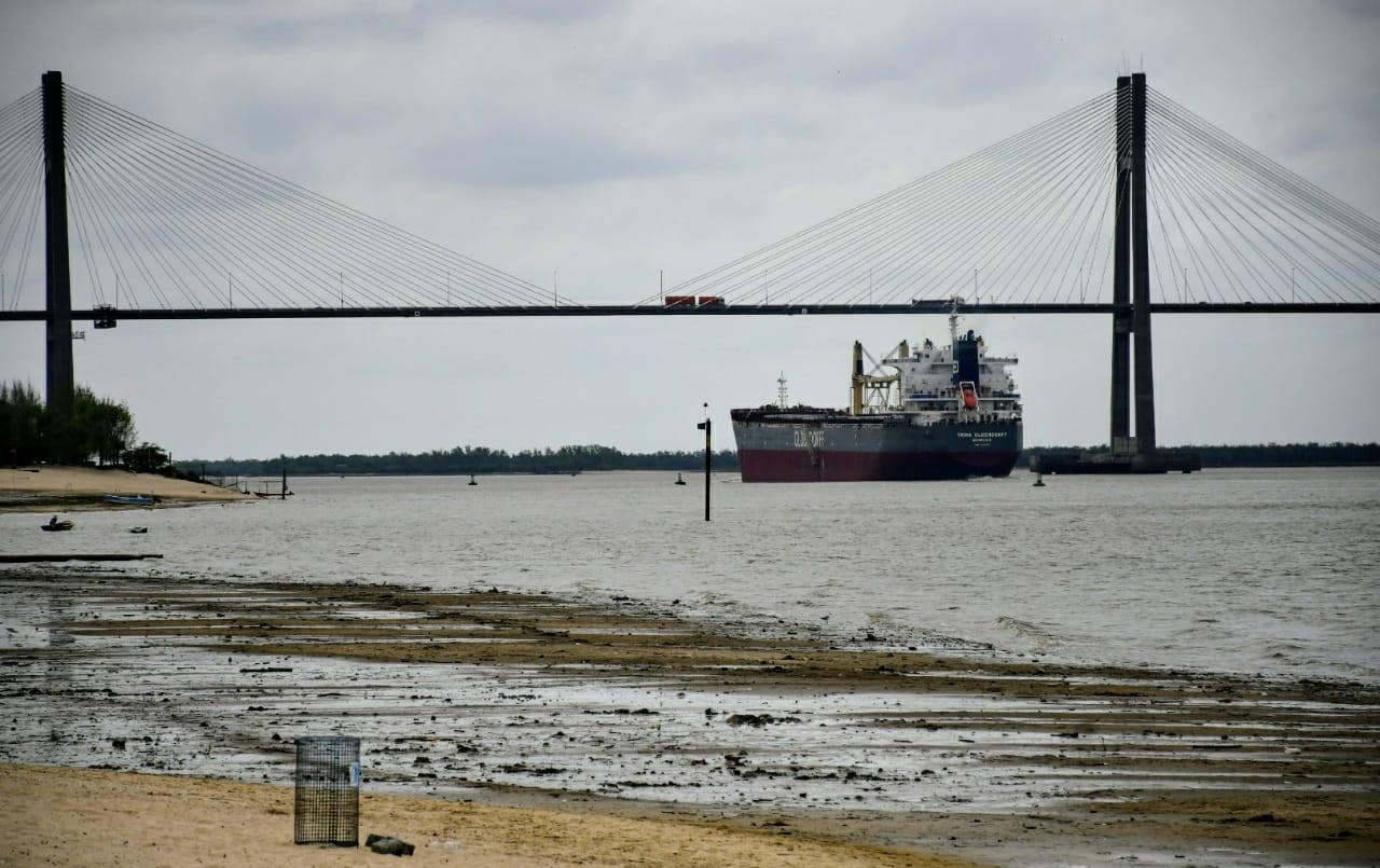 Alertan por busques encallados ante la bajante del río Paraná | Noticias