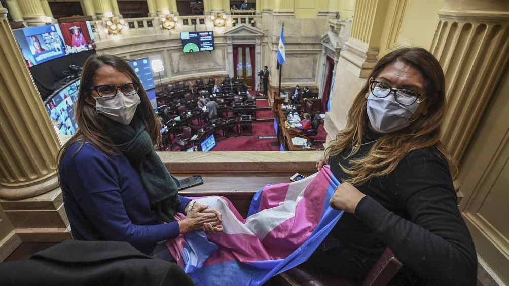 El Senado convirtió en Ley el proyecto sobre cupo laboral travesti trans | Legislativas