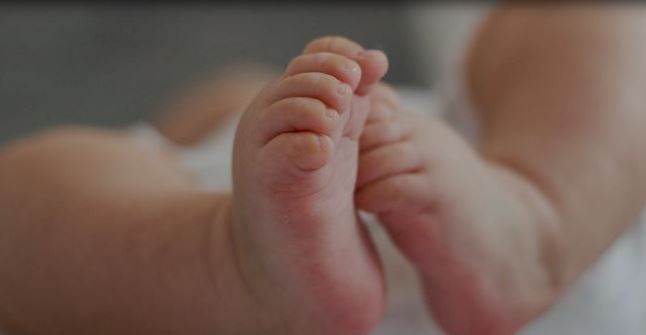 Se conmemora el Día Mundial de la Fenilcetonuria, una de las patologías genéticas del Programa de la Pesquisa Neonatal | Información General