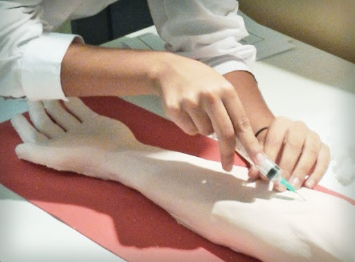 Dotarán de biosimuladores a carreras de 46 universidades | Nacionales