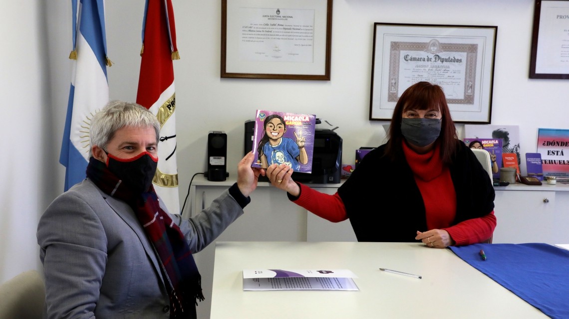 Ley Micaela: trabajadores de la Corte Suprema de Santa Fe recibirán capacitación | Igualdad y Género