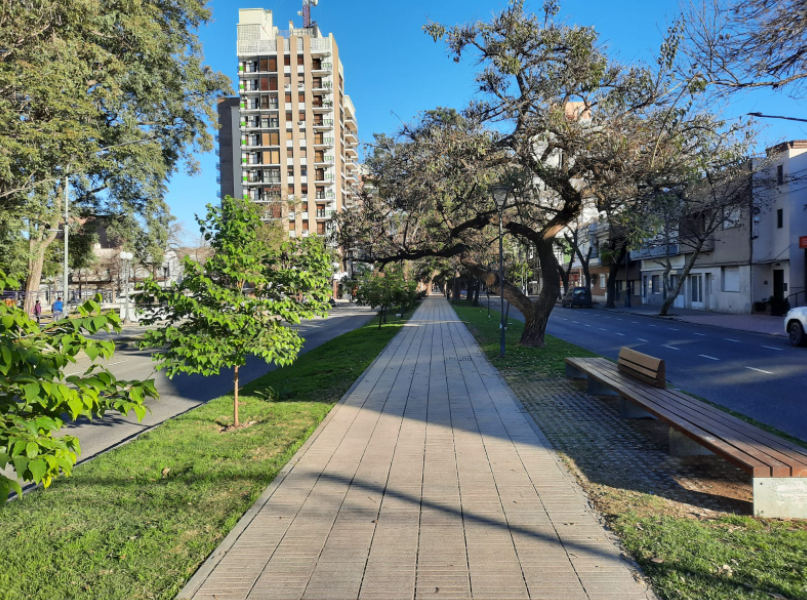 Sigue el frío pero con un leve ascenso de la temperatura en la ciudad | Información General