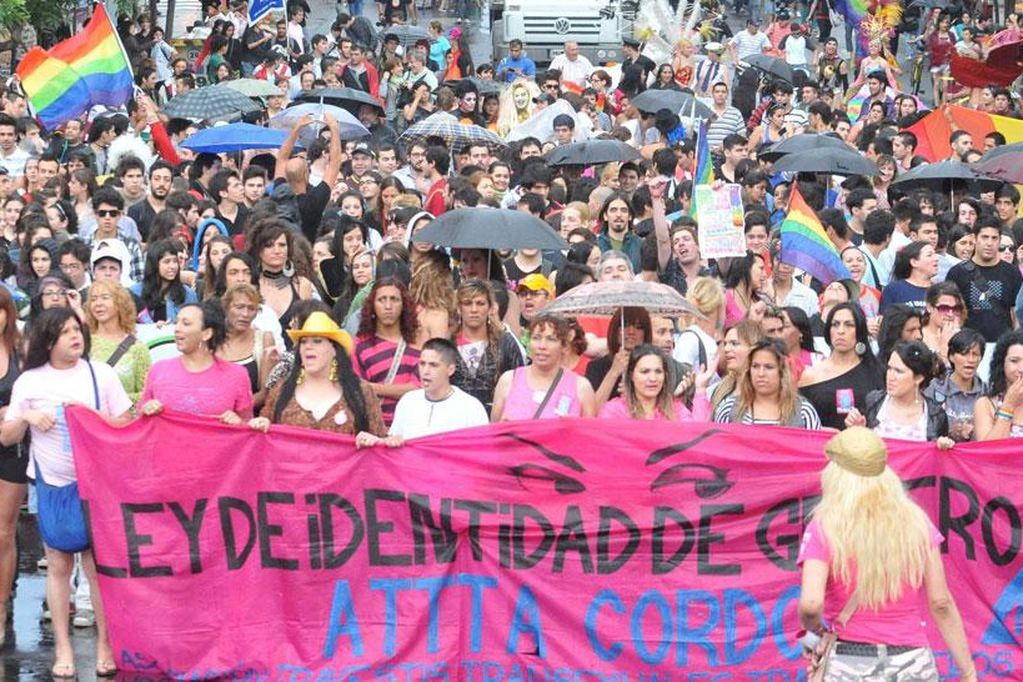 Diputada propone que el colectivo travesti-trans se jubile antes de los 40 años | Legislativas