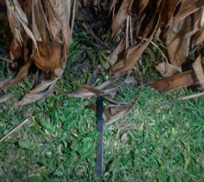 Chano, internado en terapia intensiva: Atacó a un policía con un cuchillo y recibió un balazo | Nacionales