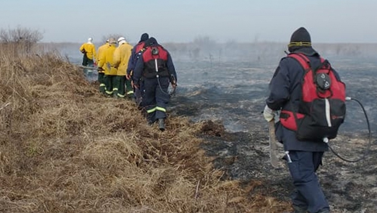 Habrá más brigadistas y lanchas para combatir incendios en el delta del Paraná | Noticias